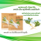 สบู่สลายฝ้า เฮอร์บัล เฟรช สบู่กลีเซอรีน ผสมหัวไชเท้า