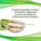 สบู่สลายฝ้า เฮอร์บัล เฟรช สบู่กลีเซอรีน ผสมหัวไชเท้า