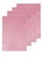 PVCปูพื้นพลาสติก RUBY สีใส 4 ชิ้น