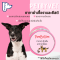 PetByVet ยาทาสำหรับสัตว์เลี้ยง สูตรฆ่าเชื้อราและยีสต์ ขนาด 5 กรัม