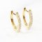 Earrings 18K  Yellow gold with Round Diamond