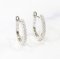 Earrings 18K  White gold with Round Diamond