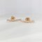 Earrings 18K  Rose gold with Round Diamond