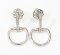 Earrings 18K  White gold with Round Diamond