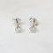 Earrings 18K  White gold gold with Round Diamond