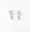 Earrings 18K  White gold  with Round Diamond