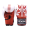 TOPKING GLOVES WORLD SERIES
