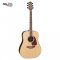 Takamine GD93-NAT ( Solid Top )