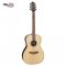 Takamine GY93-NAT ( Solid Top )