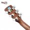 SAGA SF800CE Acoustic Electric Guitar ( Solid Top )