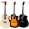 PREVIN PV-41C Acoustic Guitar