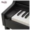 เปียโนไฟฟ้า Casio AP-470