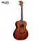 LAG Tramontane T90A Acoustic Guitar