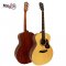 Mantic GT10G Acoustic Guitar ( Solid Top )