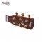 SAGA OM68C Acoustic Electric Guitar ( Solid Top )