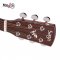 SAGA D10S Acoustic Guitar ( Solid Top )