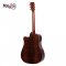 SAGA D20C  Acoustic Guitar ( Solid Top )