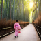 Arashiyama Bamboo Forest in Sagano, Japan