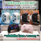 จอยโปร JoyPro Nintendo Switch แบรนด์ IINE ไร้สาย รองรับฟังก์ชั่น TURBO / สแกนNFC งานดีไซน์สวยงาม จับถนัดมือ