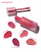 51504594-CODE-CG FIX-ON PRIMER IN TINT 04
