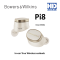 Bowers & Wilkins PI8 In-ear True Wireless earbuds