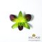 เข็มกลัดดอกกล้วยไม้หวาย Dendrobium สีเขียวม่วง