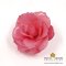 เข็มกลัดดอกกุหลาบจริง/Real Rose on Brooches