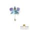 เข็มกลัดดอกกล้วยไม้หวาย Dendrobium สีฟ้าปลายม่วง