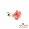 เข็มกลัดดอกกล้วยไม้หวายแบบก้านเสียบ (Dendrobium) สีชมพูส้ม