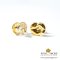 ต่างหูทองดอกโป๊ยเซียน / Crown of Thorns Flower in Silver finish Earring