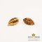 ต่างหูเงินใบกุหลาบ / Rose Leaves in Gold finish Earring