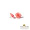 ต่างหูดอกกุหลาบ Rose Earring - สีชมพู
