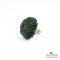 แหวนดอกเบญจมาศพันธุ์ Cremon สีเขียว