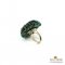 แหวนดอกเบญจมาศพันธุ์ Cremon สีเขียว
