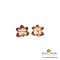 ต่างหูดอกกล้วยไม้เข็มแสดชุบทองและทาสี / Gold & Colored Ascocentrum Earring
