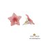 ต่างหูดอกคอนสวรรค์  / Cypress Vine Flower Earring