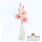 ช่อดอกล้วยไม้หวาย ( Dendrobium Orchid ) สีชมพู