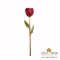 กุหลาบช่อสีแดงขอบทอง 11 นิ้ว / Partial Gold Plated Red Rose Stem 11"