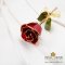 กุหลาบช่อสีแดงขอบทอง 11 นิ้ว / Partial Gold Plated Red Rose Stem 11"