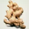 The Best Time to Import Fresh Ginger from Indonesia