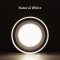 LED DOWNLIGHT 3 COLOR 1