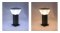 GSL-08 LED SOLAR CELL  GARDEN LIGH Color Change&Dimmable