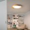 LED Downlight Wood Grain Master