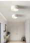LED Downlight  ceiling lamp