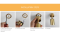 GOLDEN LED Tracklight SURFACE