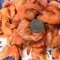 Dried Bang Jeud Shrimp (Big) by whole carton 10 kg