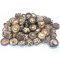Japanese Shiitake Mushroom A3