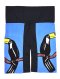 Blue Pants : Hornbill on a Twig with a Blue Background