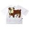 Woman Blouse - White : Charming Bulldog Puppies