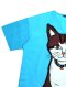 เดรสสีฟ้า : ลายแมวสีน้ำตาลผู้น่ารักบนพื้นสีฟ้า